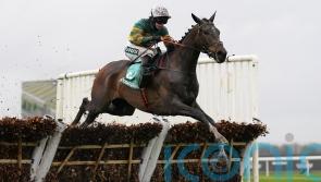 Inthepocket collects Top Novices’ prize for De Bromhead and Blackmore