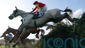 All roads lead back to Aintree for National second Vanillier