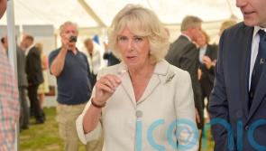Camilla will want coronation menu free from chilli and garlic, her son says