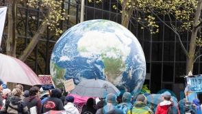 Earth Day: 5 surprising things that might be harming the planet