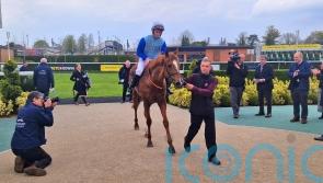Jimmi Hendrix calls the tune at Newbury