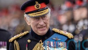 7 of the best children’s books explaining the royals