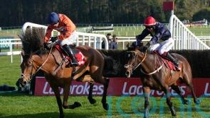 Nicholls so proud of Bravemansgame – and says more to come yet