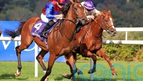 Luxembourg adds star touch to Curragh card