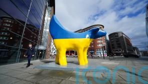 Liverpool’s top Eurovision events