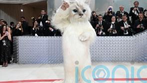 Karl Lagerfeld’s cat honoured at Met Gala with feline-inspired outfits