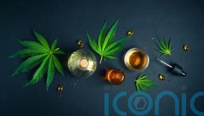 Medicinal cannabis ‘helps relieve cancer pain’ and cuts need for drugs – study