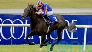 O’Brien keen to have another crack at Tahiyra with Meditate