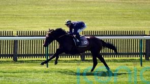 Sakheer bidding to be golden over a mile in Guineas
