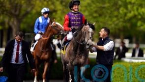 Saga and Hope aiming to crown racing’s coronation celebrations