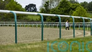Waterlogging forces all-weather switch for Lingfield’s Classic trials