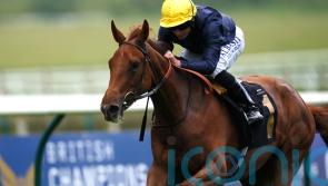 Infinite Cosmos headlines top-class possibles list for Musidora