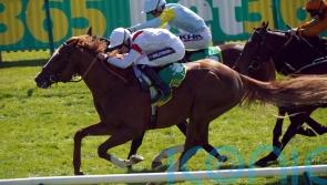 Ferguson eager to assess Canberra’s Classic claims