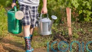 How to encourage green-fingered kids