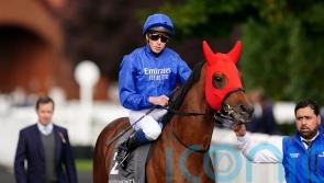 Flying Honours out to state Derby claims in Dante