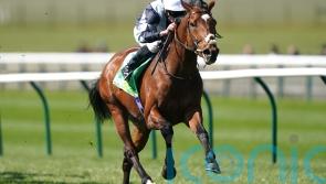 Passenger out to book Derby ticket in Dante