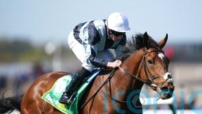 Passenger out of luck on the Knavesmire – but not out of Derby picture