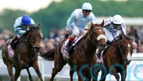 Giavellotto crowned in Yorkshire Cup for Botti and Atzeni
