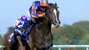 O&rsquo;Brien still pinning Derby hopes on Auguste Rodin