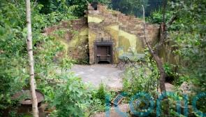 Highlights and trends from RHS Chelsea Flower Show 2023: sustainability, wildlife and weeds