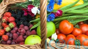 Grow a rainbow of colourful fruit and veg for Pride