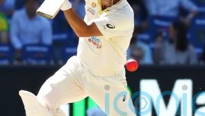 David Warner backed to enjoy ‘significant’ Ashes role by coach Andrew McDonald