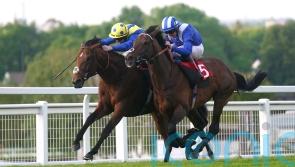 Hukum denies Desert Crown in tremendous Brigadier Gerard battle