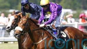 Dermot Weld pays tribute to ‘talented and courageous’ Rite Of Passage