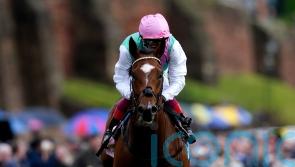 &lsquo;I have a proper shot at it&rsquo; &ndash; Dettori daring to dream with Arrest