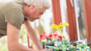 7 great gardening gifts for dads this Father’s Day