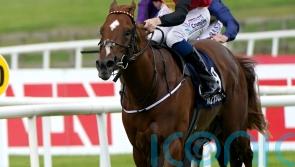 Lavery admits ‘right decision’ to sell stable star New Energy