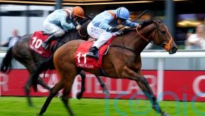 Ziggy’s Phoenix seeking to rise to Hilary Needler challenge