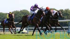 Raatea enters Royal Ascot reckoning for Camacho team