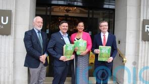 Sinn Fein says youth mental health services &lsquo;in crisis&rsquo;