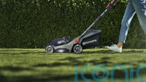5 of the best lawnmowers