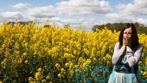 7 hay fever hacks to ease your symptoms this summer