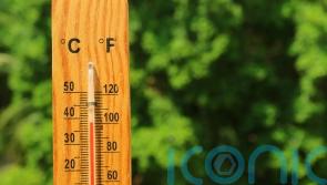 The dos and don’ts of looking after your garden in a heatwave