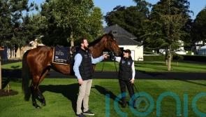 Coolangatta leads international King’s Stand charge