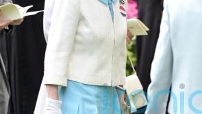 Princess Royal pictured in dress she wore aged 27 – 45 years later