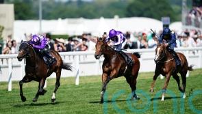 No excuses for Little Big Bear’s Ascot eclipse