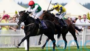 Pyledriver returns in brilliant style to land Hardwicke success