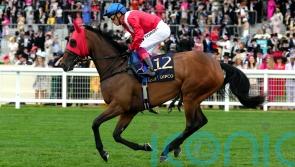 Marois repeat on the cards for Inspiral
