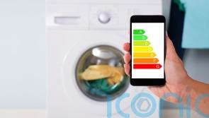 7 ways to make your laundry less harmful to the environment