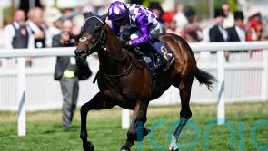 Shaquille team basking in Group One glory