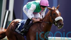 Connections of Chaldean happy to take on Paddington rematch