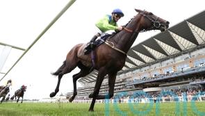 Johnston working towards Goodwood Cup goal with Subjectivist