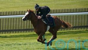 Dubai Mile to drop back in trip with autumn aims on the horizon