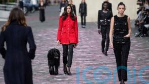 Chanel model walks a dog on the catwalk at haute couture show