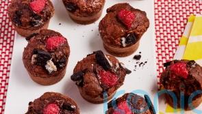 Pinch of Nom’s raspberry cookie brownies recipe