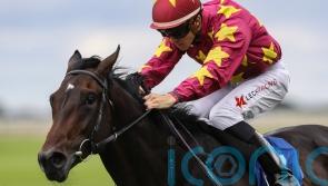 French assignments on the horizon for O’Brien duo